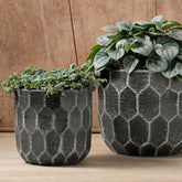 Photo of Campania Polygon Planter Set of 8 - Marquis Gardens
